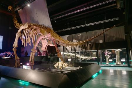 Sala de dinosaurios del Museo Paleontológico de Dinópolis