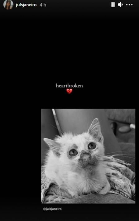 Julia Janeiro despide a su gato