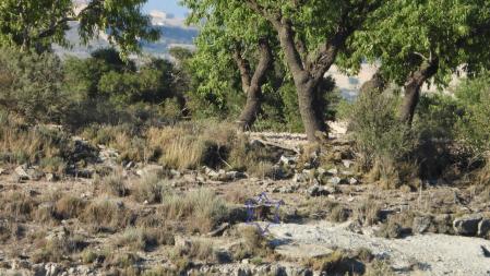 La solución al Reto visual de la agulilla.