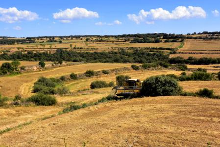 Paisaje de la cosechadora en un campo de cebada.