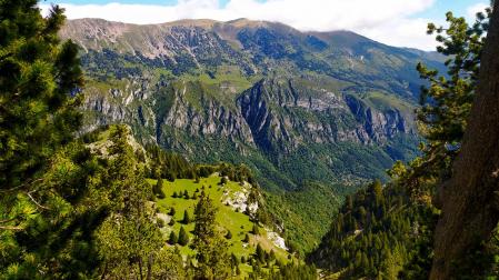 Paisaje de la vegetación que se encuentra en el Pedraforca.
