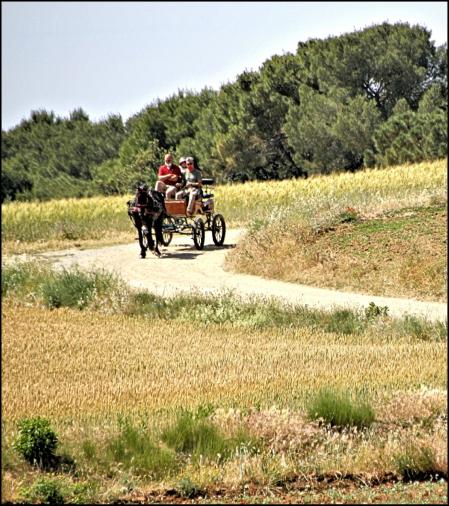 Recorriendo Gallecs en carruaje.