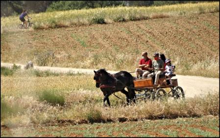 Recorriendo Gallecs en carruaje.
