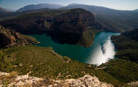 Buitre leonado sobrevolando el embalse de Camarasa.