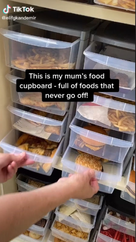 La nutricionista llevaba dos años guardando la comida basura para idear el experimento