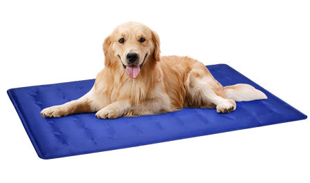 Cama fresca para perros.