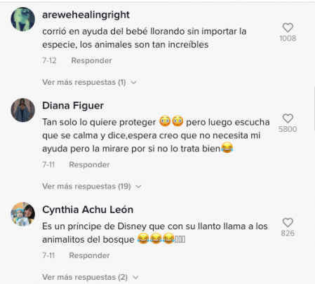 Las reacciones de los usuarios de TikTok al ver el vídeo