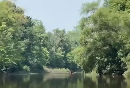 El hombre grabó las imágenes mientras navegaba en kayak por el río Cass de Michigan