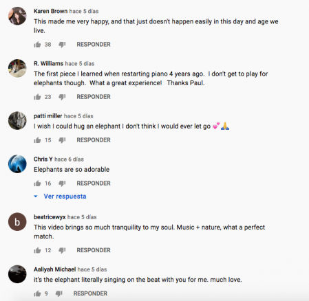 Las reacciones de los usuarios de Youtube al vídeo