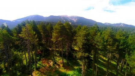 Verde vegetación desde el Mirador de Escobairó.
