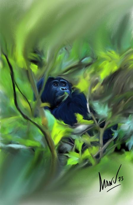 Ilustración del artista Manuel Garrido basada en fotografía de Cristina Maruri de uno de los gorilas.