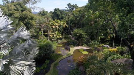 Sítio Roberto Burle Marx
