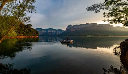 Una barca en el pantano