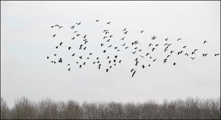 El lago se ubica en la comarca de la Selva