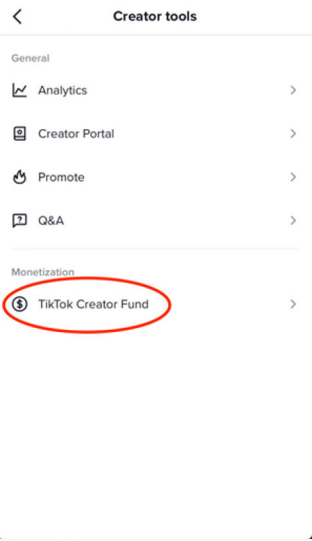 Creator Fund TikTok