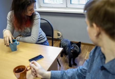 Una pareja junto a su zorro domesticado