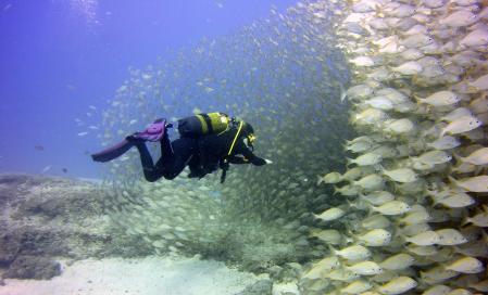 Buceo en Gran Canaria