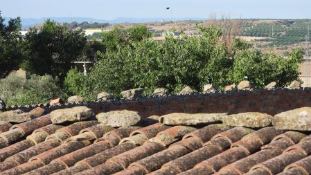 En esta imagen se esconden las 5 aves restantes.