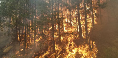 El incendio Caldor no está ni mucho menos controlado por las autoridades de California / Cal Fire AEU