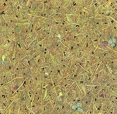 Reto visual: ¿Eres capaz de encontrar la aguja en el pajar en 15 segundos?