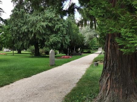Paseo por el cementerio.