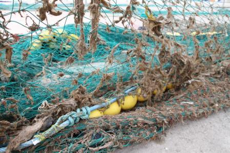 Toallitas higiénicas estropeando una red de pesca en el Puerto de Pescadores de la Barceloneta