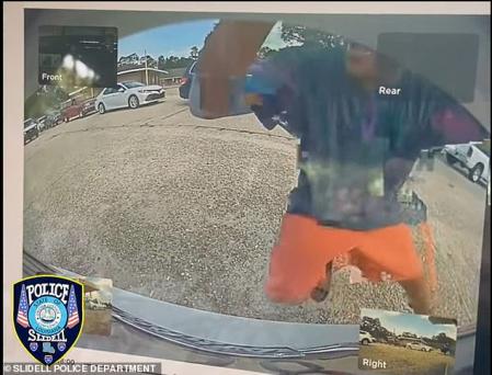 Las imágenes muestran cómo Bates se tiró detrás del Tesla