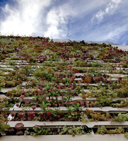 Jardín vertical en Gràcia.