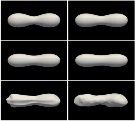 Aproximación de la imagen del asteroide Kleopatra en 3D
