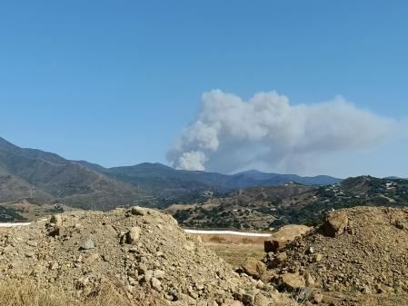 Vista del incendio de Estepona desde lo alto de la ciudad.
