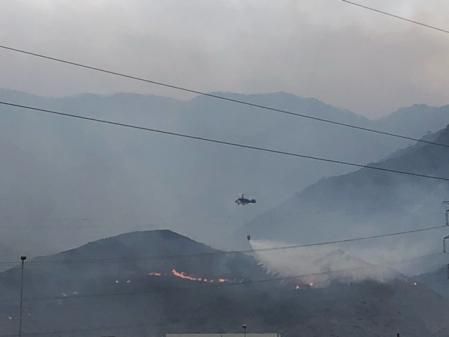 Lucha contra el fuego entre Casares y Estepona, los focos de la zona oeste.