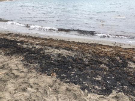 Ceniza y carbón en las costas de Estepona.