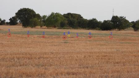 Solución al Reto, con las 8 perdices señalizadas.