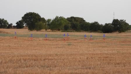 Solución al Reto visual de las perdices.