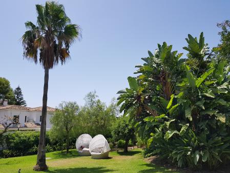 El silencio del jardín solo se rompe por el viento en los arboles y por algunos pájaros que pasan