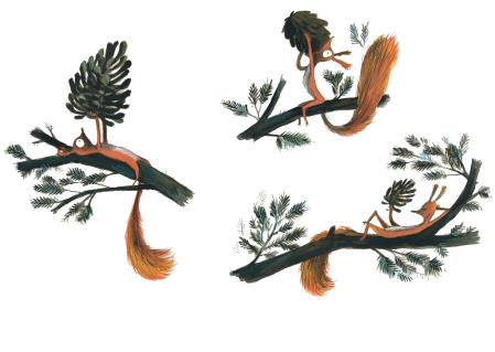 Detalle del libro 'Un poco más' de Olivier Tallec