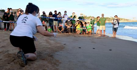 Varias personas se han congregado para ver la liberación de las tortugas en Tarragona.