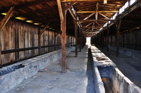 Aspecto de las letrinas para los presos