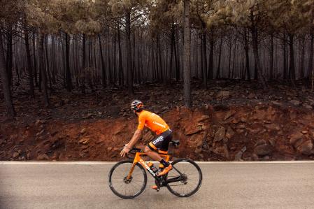 Un ciclista observa los pinos quemados en la zona del puerto de Las Peñas Blancas, Estepona