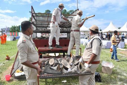Prepartivos de la quema de cuernos