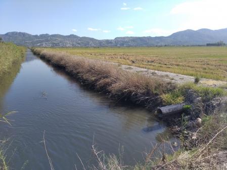 Marjal de Pego-Oliva