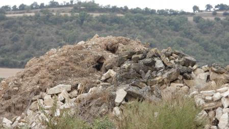 Los dos pájaros aparecen en esta imagen más en detalle.