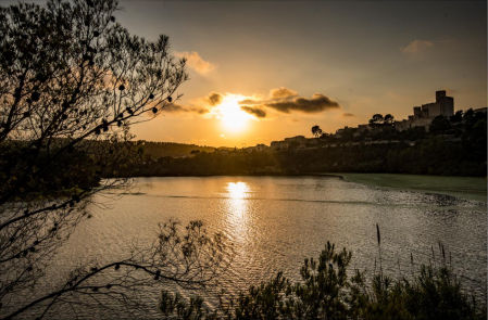 Pantano reflectado por la luz del sol