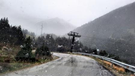 Nevada en Vallter 2000.