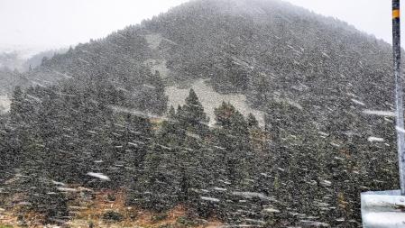 Nevada en Vallter 2000.