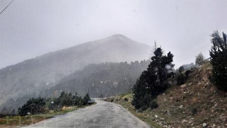 Nevada en Vallter 2000.