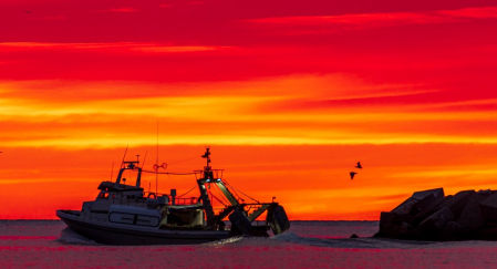Candilazo desde la playa de la Cepa de Fuengirola (Málaga).