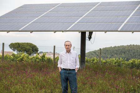 Miguel Agustín Torres, presidente de Familia Torres, en un viñedo del Penedès en el que se han instalado placas fotovoltaicas