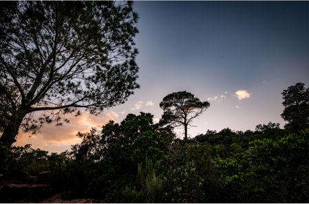 Ermita de la mare de deu de la roca de montroig
