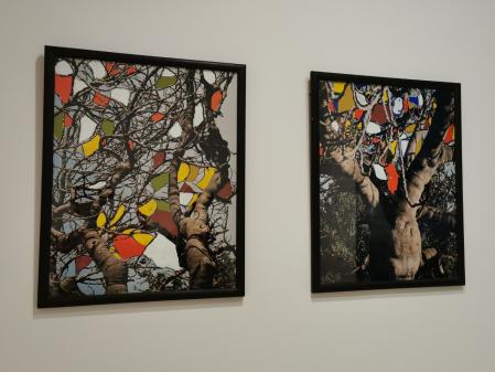 La exposición 'Univers Guinovart'.